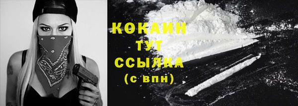 PSILOCYBIN Кулебаки
