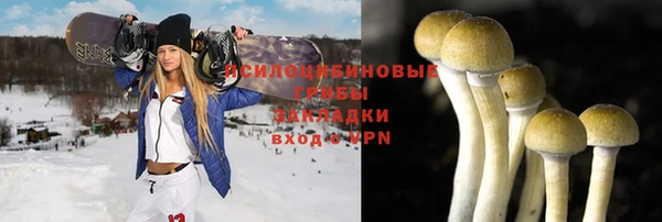дмт Кукмор