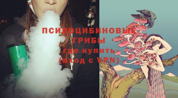 PSILOCYBIN Кулебаки