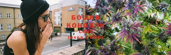 PSILOCYBIN Кулебаки